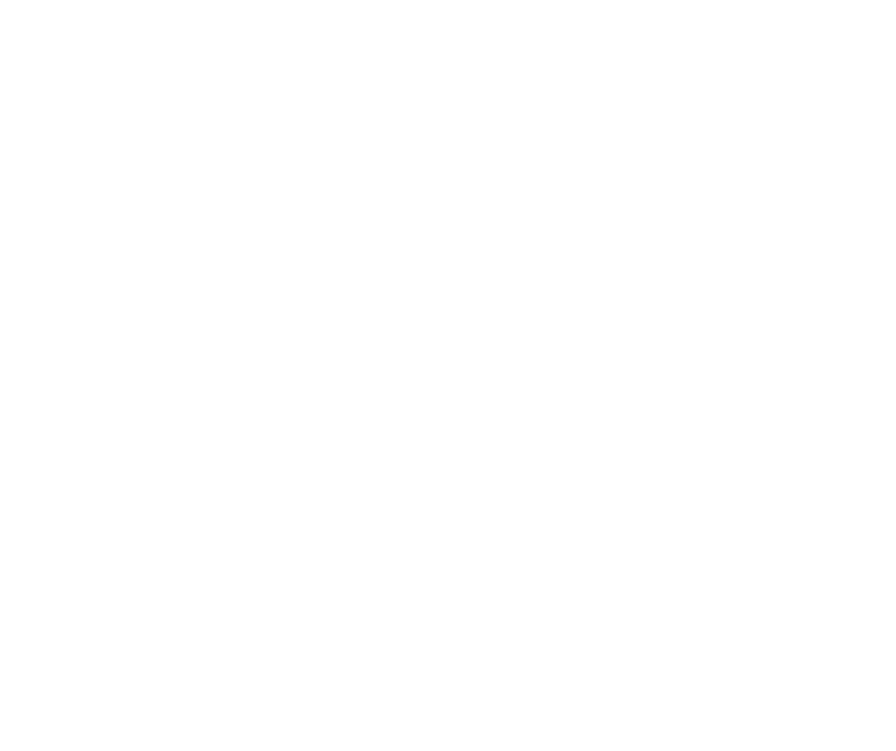 logo-liva-2